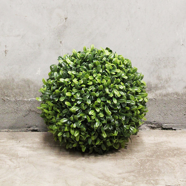 GREENERY, Topiary - Boxwood Ball 22cm D (2 Halves)